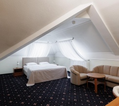 2-местный номер полулюкс в Элем