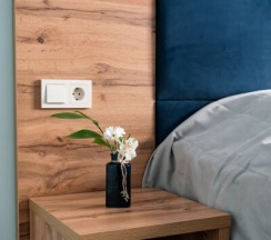 Люкс в Приозерный