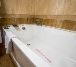Двухместный полулюкс двуспальная кровать в Hotel De Paris
