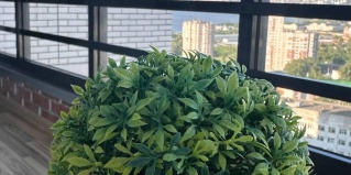 Ижевск: Апартаменты Апартаменты на Базарной площади
