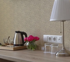 Двухместный номер Superior 2 отдельные кровати в Невский Гранд Энерджи