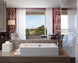 Номер Swiss Advantage, с видом на парк - с двуспальной кроватью в Swissotel Resort Сочи Камелия