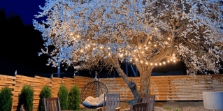 Архыз: Турбаза Barn Hotel Arkhyz