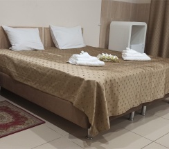 Двухместный номер (улучшенный двухместный номер с кроватью king-size) в Spa-hotel Plaza