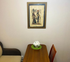 Апартаменты Comfort с балконом в Квартира с модными кроликами и большой площадью в Орбите