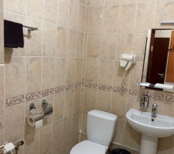 Трёхместные(Семейный) в Лесной