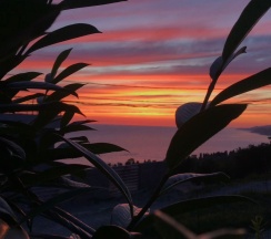 Двухместный номер с двуспальной кроватью с видом на море в Аист