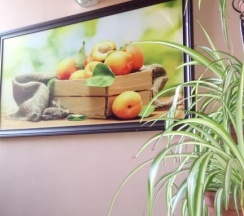 4-местный номер улучшенный семейный в Абрикос