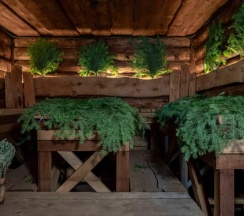 Коттедж Шале в Видная усадьба