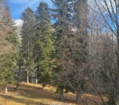 Стандарт в Potap