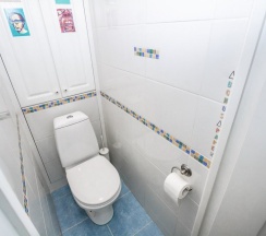 Апартаменты с 3 комнатами с балконом и с красивым видом из окна в Соколов