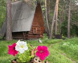 Номер Эконом без окон в Иванова дача