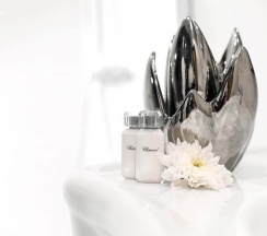 Президентский в Графский парк