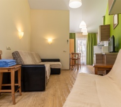 Апартаменты Люкс (Однокомнатный 2-х местный номер c кухней без балкона) в Odeon