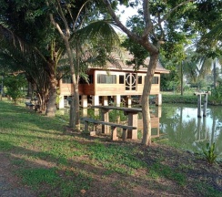 Двухместный номер Standard 2 отдельные кровати в Home Style Resort