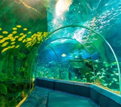 Семейный с балконом с прямым видом на море в Aqualife