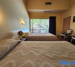 Люкс в Pattaya Garden Resort