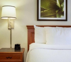 Четырёхместный номер Deluxe в La Quinta Inn by Wyndham Austin Capitol / Downtown