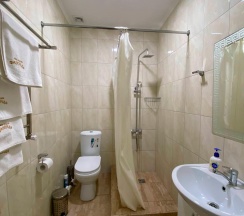 Номер стандарт с 1 двуспальной кроватью в Фазенда