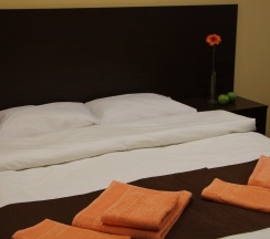 Двухместный номер с 1 кроватью или 2 отдельными кроватями и диваном-кроватью в Белый тополь