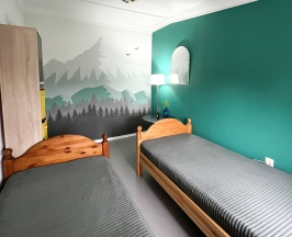 Двухместный номер Deluxe с двумя односпальными кроватями в Art hostel