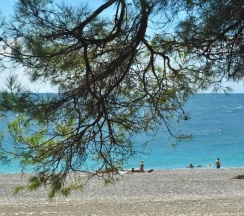 Апартаменты в Пашка Хаус 