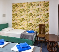 Люкс 5+1 двухкомнатный в Камелот