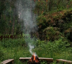 Купол в Royal Forest