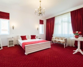 Двухместный номер Standard двуспальная кровать в Vila Marioara