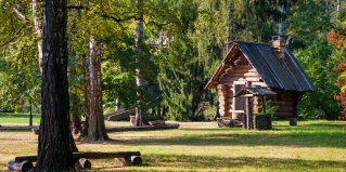 Звенигород: Отель Таежные дачи