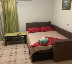 Двухместный номер нулевой этаж в Filin