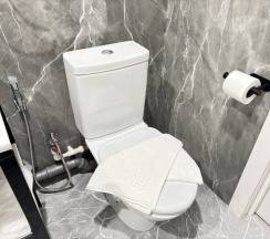 Комфорт Сьют плюс в Ларионов