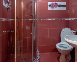 Стандарт двухместный номер с 1 кроватью в Garden Hotel