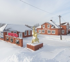 Вип дом в Родина