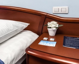 Стандартный номер в Александровский сад