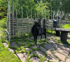 Коттедж в Каменная речка