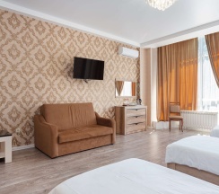 Многоместный в Дизак