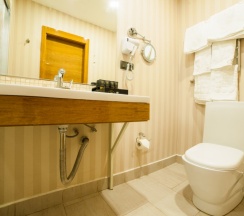 Двухместный номер Standard 2 отдельные кровати в Hotel-Absolute