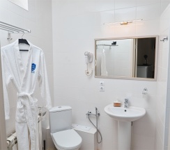 Де-Люкс с кроватью размера "king-size" или двумя односпальными в Zb Hotels Айсберг Саратов
