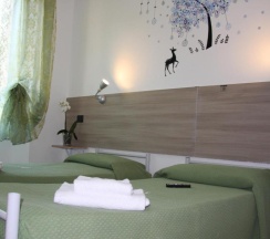 Двухместный номер Standard 2 отдельные кровати в Hotel Adelchi