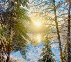 Студия в Телецкое Золотое