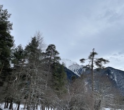 Коттедж c 1 комнатой с красивым видом из окна в Paradise