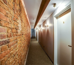 Стандартный Мопс в Mops