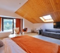 ДЕЛЮКС в Grand shale