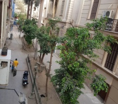 Одноместный номер Economy (односпальная кровать) в Отель Cairo