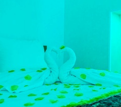 Улучшенный номер с кроватью размера king-size в Белый сад