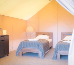 Глэмпинг в Ковчег