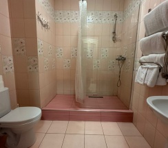 Люкс двухкомнатный в Николаевский