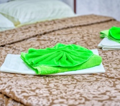 Двухместный номер без окна Бюджетный 2 отдельные кровати в Аист