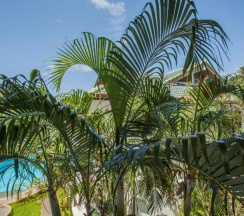 Двухместный номер Deluxe (двуспальная кровать) в Ya Nui Resort